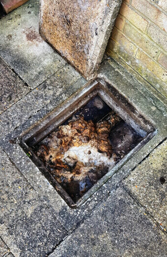 https://plumberjoondalup.com.au/uploads/2025/06/blocked-drains-465055.jpg